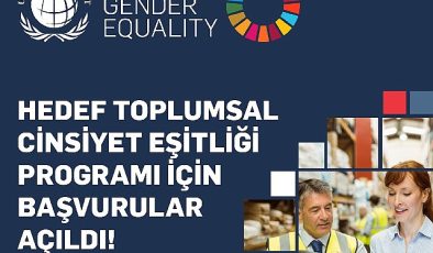 UN Global Compact Hedef Toplumsal Cinsiyet Eşitliği Programı Başvuruları Açıldı!