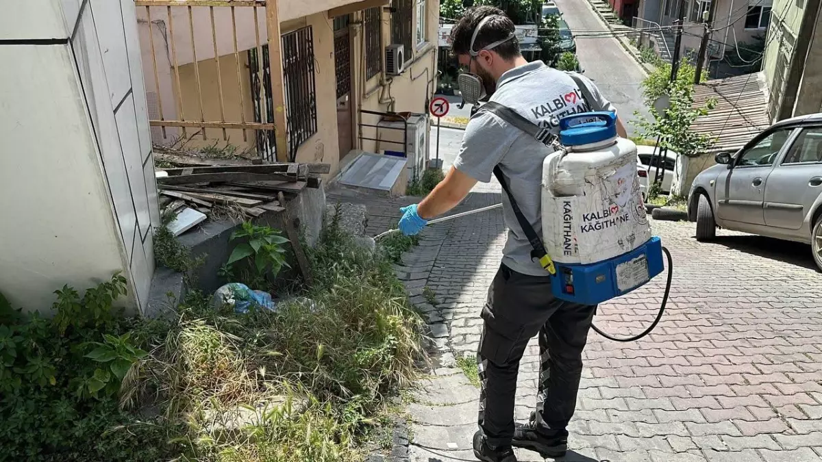 Kağıthane’de Haşere İlaçlama Seferberliği